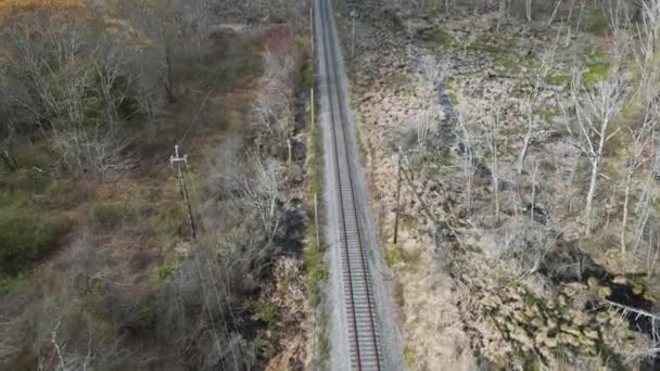 树林里的铁轨 — 图库视频影像