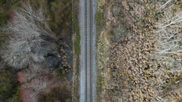 Train Tracks Woods Pull Back — Stock Video