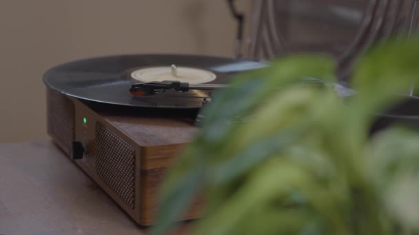Record Player Plant — Stock Video