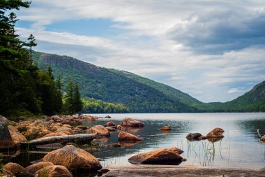 Acadia Ulusal Parkı, dağların sularla buluştuğu sakin bir orman manzarası.