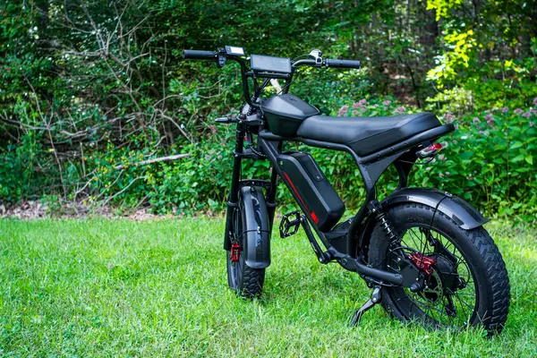 Sleek Black Electric Bike Reminiscent Moped Stands Gracefully Serene Grassy — Stock Photo, Image