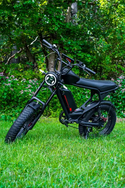 木々に囲まれた穏やかな草地の風景に優雅に立っている 洗練された黒い電動自転車 ストック写真