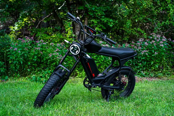 木々に囲まれた穏やかな草地の風景に優雅に立っている 洗練された黒い電動自転車 ストックフォト