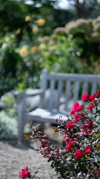 白いベンチは柔らかくぼやけた背景にフェードし 活気に満ちた緑の葉と花がセンターステージを取ることができます ロイヤリティフリーのストック写真