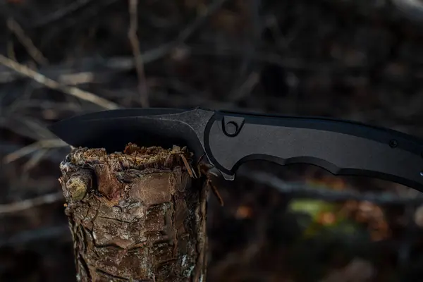 倒れた木のトランクに収納された荒野でブラックブッシュクラフトのポケットナイフ — ストック写真