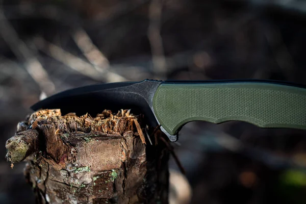 倒れた木のトランクに置かれた荒野の黒と緑のポケットナイフ ストック写真