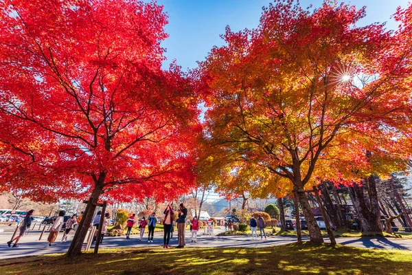 Nikko Herbst Tochigi Japan — Stockfoto