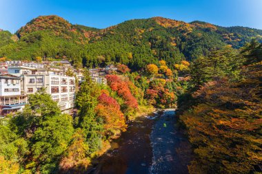 Japonya 'da Okutama Gölü' nde sonbahar