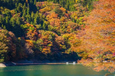 Japonya 'da Okutama Gölü' nde sonbahar