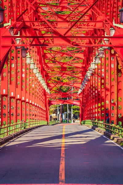 Herbst Okutama See Japan — Stockfoto