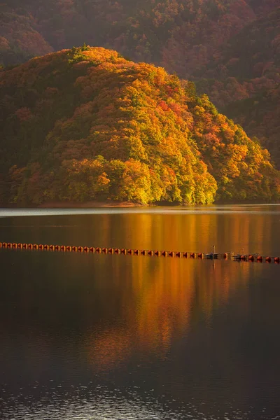 Jesień Jeziorze Okutama Japonia — Zdjęcie stockowe