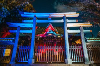 Winter lights at Ushijima Shrine 2023