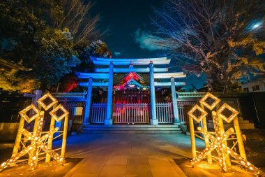 Winter lights at Ushijima Shrine 2023