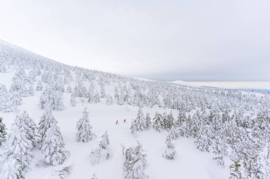 Zao Kar Canavarları, 2023 Kış Yamagata Japonya 