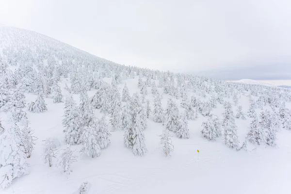 2023年冬の蔵王の雪の怪物 Yamagata Japan — ストック写真