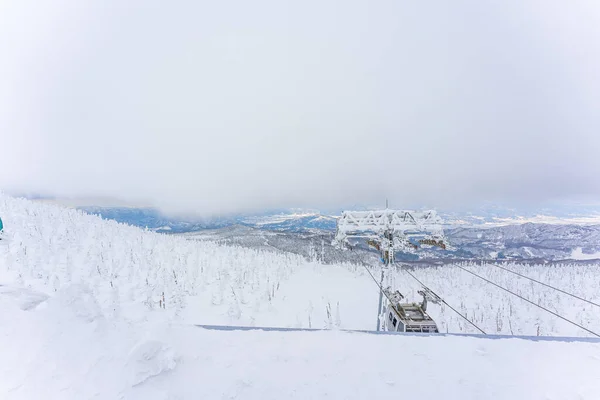 Zao Kar Canavarları 2023 Kış Yamagata Japonya — Stok fotoğraf
