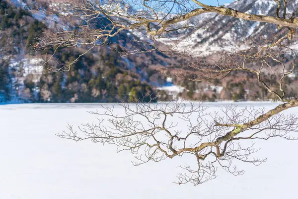栃木県の冬に雪に覆われた日光 — ストック写真