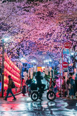 Shibuya Sakuragaoka Sakura Matsuri, Sakura Caddesi - Shibuya, Sakuragaokacho, Shibuya Şehri, Tokyo