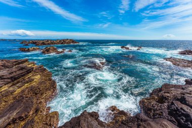 Jogashima Japonya 'da yaz plajında