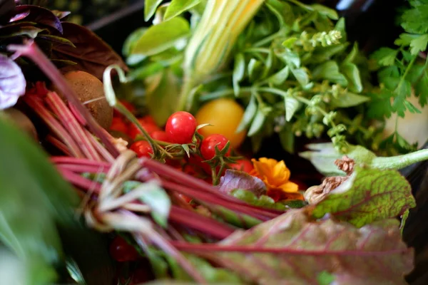 Tomatos, limon, beetroot, chard and more else