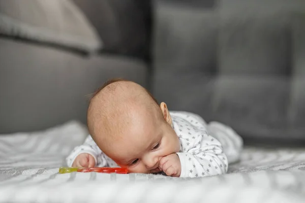 Słodkie Miesięczne Dziecko Leży Brzuchu Śpiworze Dziecko Bawi Się Grzechotką — Zdjęcie stockowe