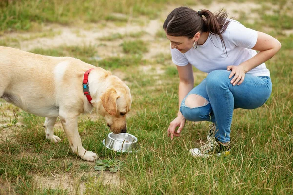 Woman feeds dog in yard. Cute dog eats his food on the lawn. Red collar for dogs. Playing pets, pet concept.