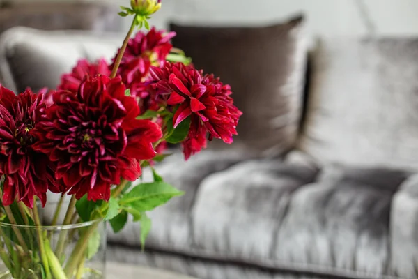 Bouquet of red dahlia in interior. Beautiful modern interior and fresh flowers.