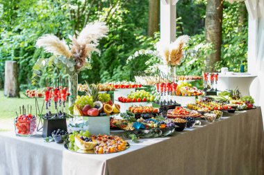 catering buffet table with snacks and appetizers. Set of varios fruits and berries. Decorative vase. Summertime