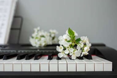 Piyano tuşlarında beyaz çiçek. Müziğin ve doğanın güzelliği. Güzel arka plan. Müzik ve besteci konsepti.