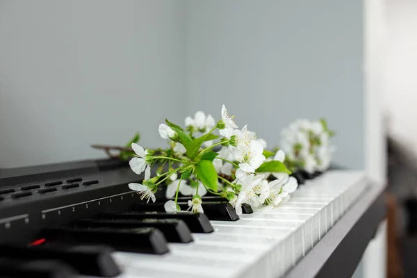 White bloom on piano keys. Beauty of music and nature. Beautiful background. Music and composer concept.