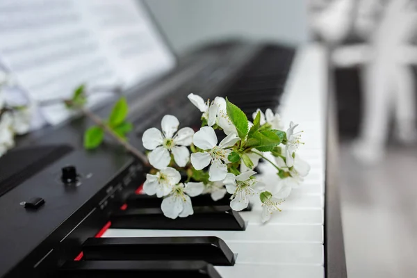 White bloom on piano keys. Beauty of music and nature. Beautiful background. Music and composer concept.