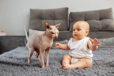 Küçük şirin bebek rahat ev ortamında kedi sfenksinin yanına oturur. Evcil hayvan ve aile kavramı. Bebek altı aylık.