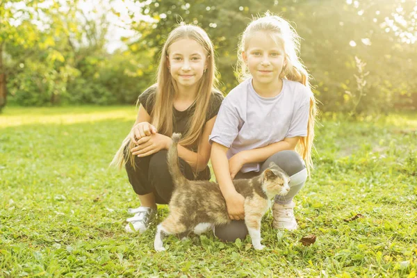 Dvě Děti Hrají Domácí Kočkou Dvoře Domu Slunečný Den Dětství — Stock fotografie