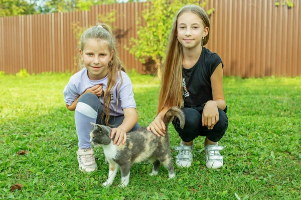 Zwei Kinder Spielen Mit Hauskatze Hof Des Hauses Sonniger Tag — Stockfoto