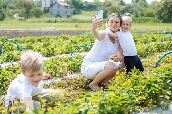 Pick Your Own Farm Gesunde Und Umweltfreundliche Ernte Junge Mutter — Stockfoto
