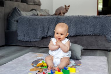 Küçük kız halıda oturuyor ve çıngırakla oynuyor. Renkli oyuncaklar. Bebek gelişimi. Duyusal deneyim