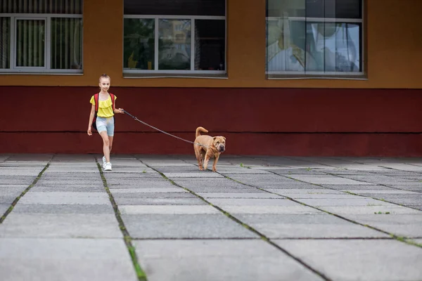 Child walking with dog. School girl after school having fun dog outdoors. Concept of pets, friendship and childhood.