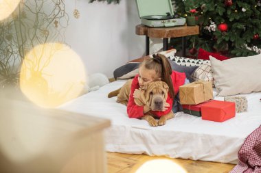 Boks Günü. Shar Pei köpeği. Mutlu Noeller ve mutlu tatiller. Noel 'de kız ve köpek.