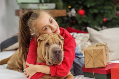 Boks Günü. Shar Pei köpeği. Mutlu Noeller ve mutlu tatiller. Noel 'de kız ve köpek.