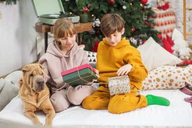 Boks Günü. Noel süslemeli odada köpekli mutlu çocuklar oturuyor. Mutlu Noeller ve mutlu tatiller.