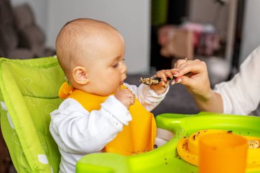 Bebek bakıcısı yeni doğmuş küçük bebeği mutfakta besler. Beslenme masası. Koltuk hazır. Taşınabilir bebek. Bebek güçlendirici. Taşınabilir katlama.