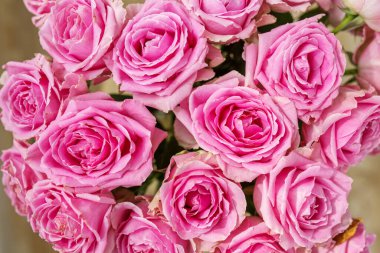 Çiçek buketi güller. Kartpostal için arkaplan.