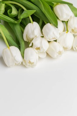 Parlak yüzeye yayılmış canlı yeşil yapraklarıyla görkemli beyaz lale kümeleri doğal zarafeti yayıyor.