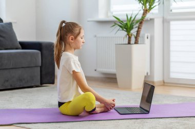 Sakin genç kız dizüstü bilgisayarın önünde meditasyon yapıyor, huzurlu ev ortamında online yoga dersine katılıyor..