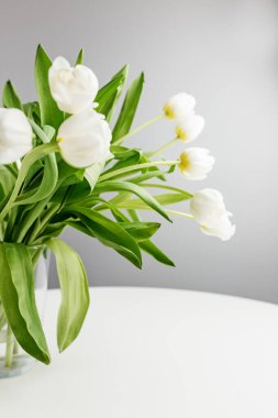 Yeşil yapraklı bir buket beyaz lale açık renkli bir masadaki cam bir vazoya yerleştirilir. Düzenleme minimalist dekoru canlandırıyor, biraz zarafet katıyor..