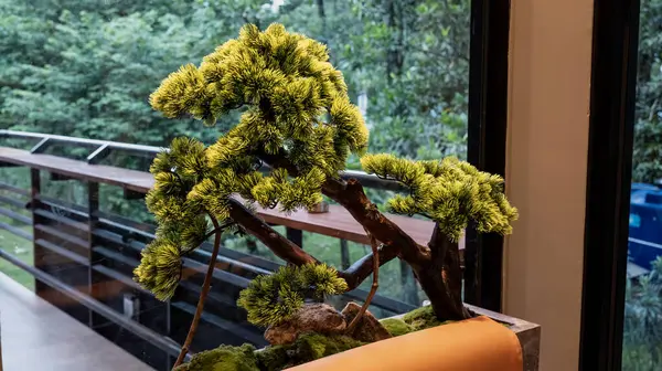 Titizlikle budanmış yeşil yapraklı yapay bir bonsai ağacı. Huzurlu bir Zen bahçesinde taşlara ve yosunlara yaslanmış. Huzurlu bir ortam yaratıyor..