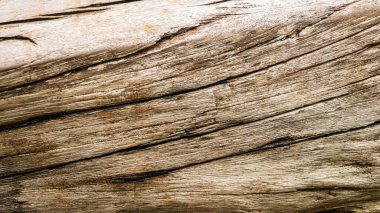 Yıpranmış ahşap bir yüzeye yakın plan ve tasarım projeleri için ideal olan doğal tahıl desenleri ve dokuları sergiliyor..