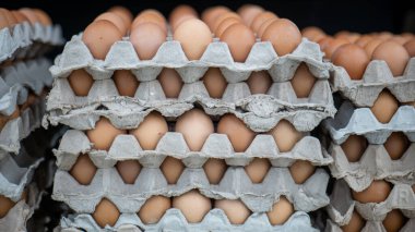 Karton tepsilerde düzgünce yerleştirilmiş taze kahverengi yumurta yığınları bir markette ya da çiftlik malzemeleri dükkanında satışa sunulmak üzere büyük miktarda yumurtayı sergiliyor..