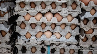 Karton tepsilerde düzgünce yerleştirilmiş taze kahverengi yumurta yığınları bir markette ya da çiftlik malzemeleri dükkanında satışa sunulmak üzere büyük miktarda yumurtayı sergiliyor..