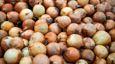 Çok sayıda taze kahverengi soğanın yakın plan görüntüsü, doğal dokularını ve renklerini sergiliyor, aşçılık kullanımı için ideal..